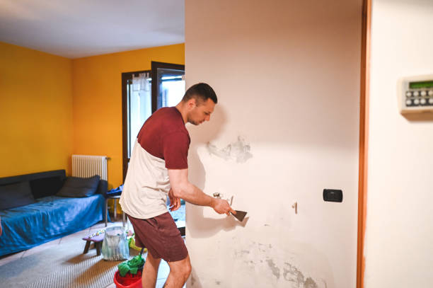 Crawl Space Mold Removal in East Lansing, MI