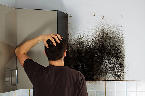 Water Damage Restoration in East Lansing, MI